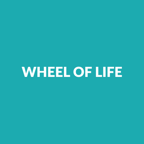 The Wheel of Life: A Powerful Tool for Self-Assessment